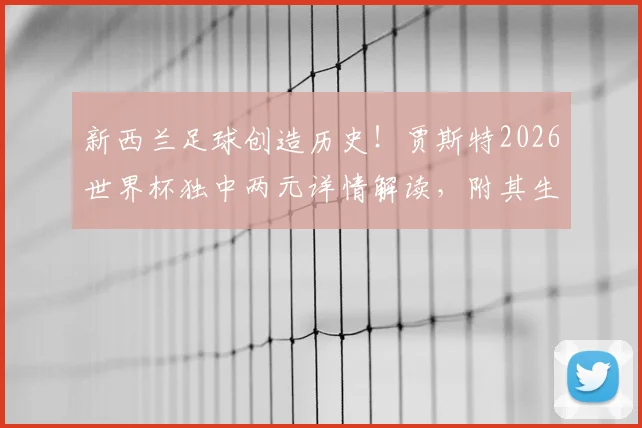 新西兰足球创造历史!贾斯特2026世界杯独中两元详情解读,附其生涯数据与比赛分析