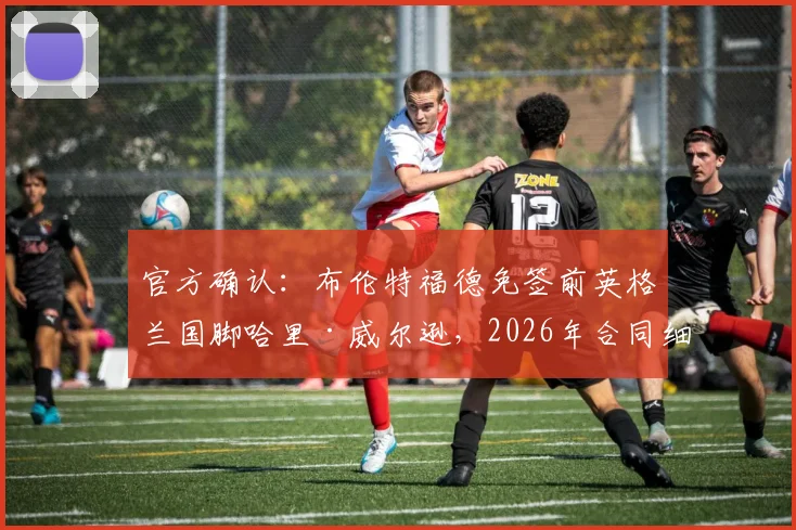 官方确认:布伦特福德免签前英格兰国脚哈里·威尔逊,2026年合同细节与加盟原因解析